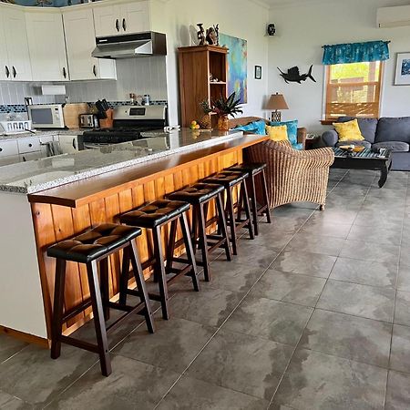 House Of Blue At Turtle Cove Long Island Bahamas Villa Eksteriør billede